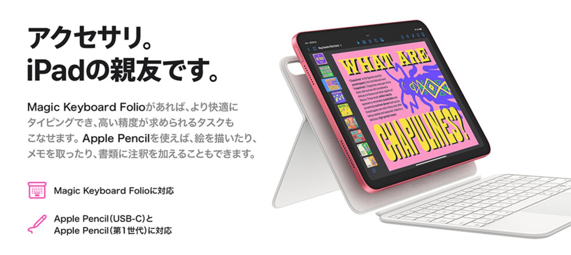 ドコモiPad